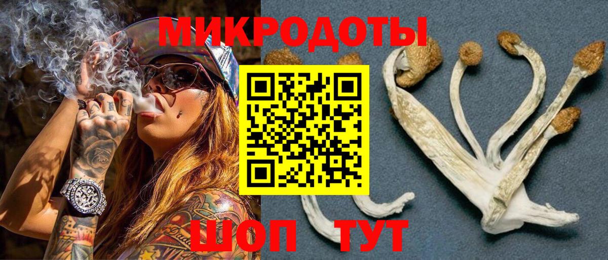 Луга  Галлюциногенные грибы прущие грибы  Вход с VPN 
