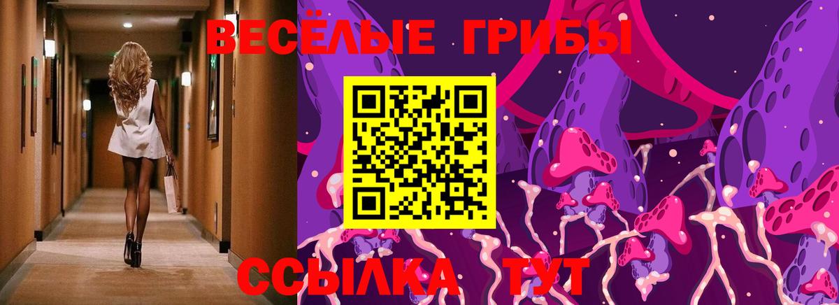 Галлюциногенные грибы Magic Shrooms Луга